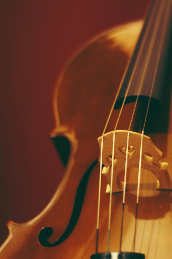 Le quatuor clé pour votre cerveau