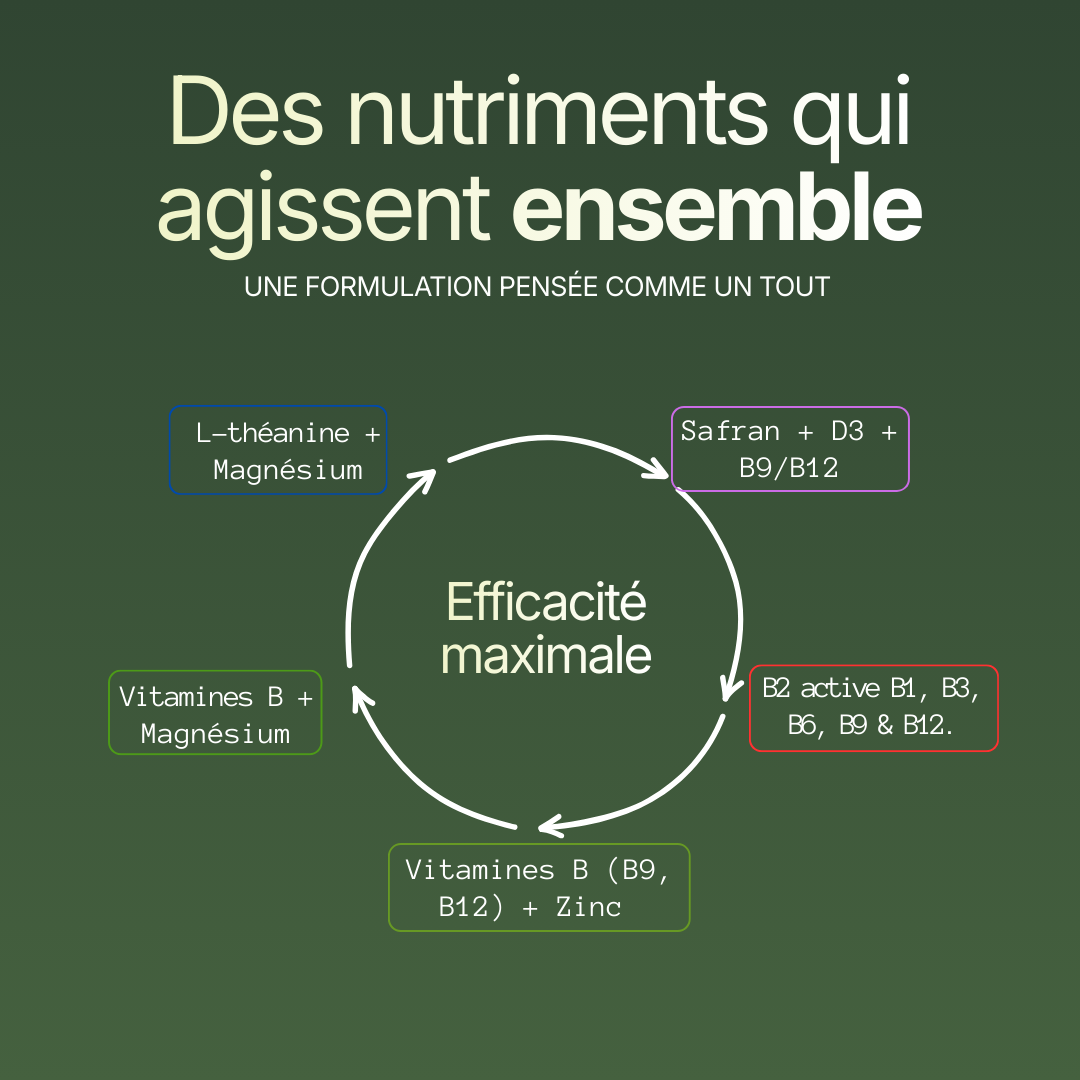 Le Serein — Formule naturelle & complète Équilibre Mental | 13 Nutriments