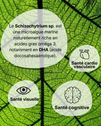 Oméga 3 DHA Vegan – Microalgues & Huile de Chia – 250 mg DHA