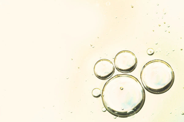 <h4>Vitamine B3</h4>
