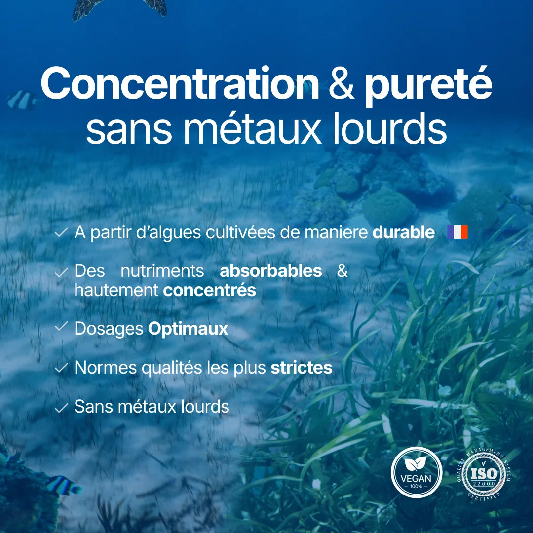 Brainelements présentant la pureté du produit : algues cultivées de manière durable, haute concentration, dosages optimaux et garantie sans métaux lourds