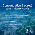 Brainelements présentant la pureté du produit : algues cultivées de manière durable, haute concentration, dosages optimaux et garantie sans métaux lourds