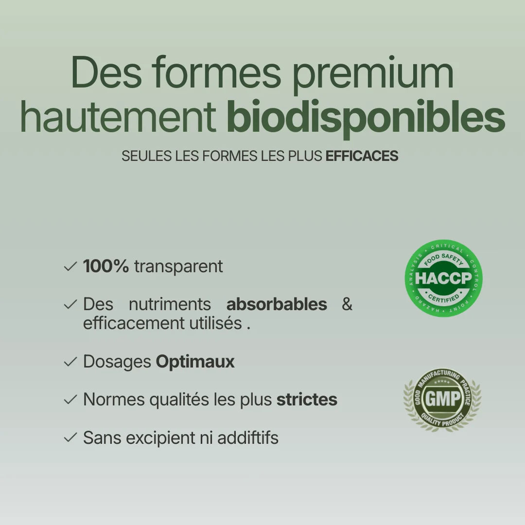 Infographie sur les standards de qualité Brainelements : nutriments hautement biodisponibles, dosages optimaux, sans excipients, avec certifications HACCP et GMP.