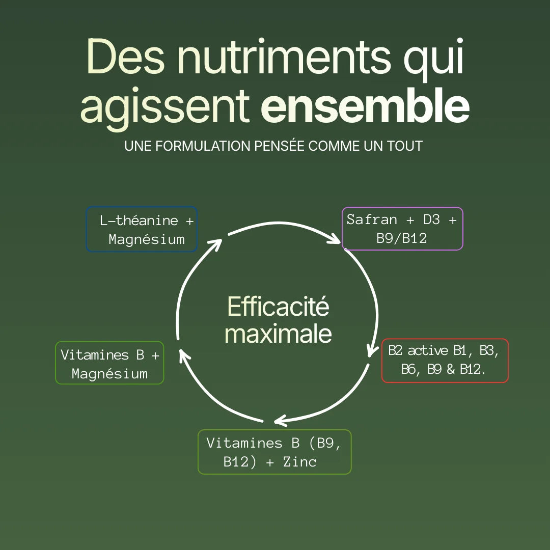 Schéma circulaire montrant l'efficacité maximale du complément Le Serein grâce à la synergie du Magnésium, L-théanine, Safran, Zinc et Vitamines B pour une formulation pensée comme un tout.